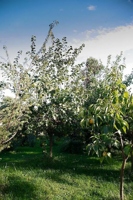 Bed & Breakfast B&B Stradivari Cremona